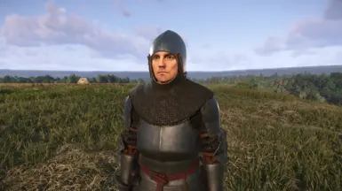 《天国:拯救2》MOD|不伦瑞克巴辛特|下载