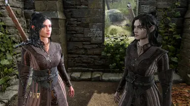 《博德之门3》回响骑士分支职业MOD