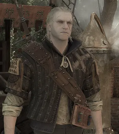 《巫师3：狂猎》白化杰洛特MOD