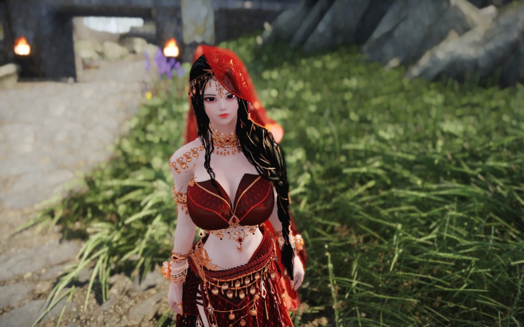 《上古卷轴5：天际重制版》独立语音女随从流荧MOD