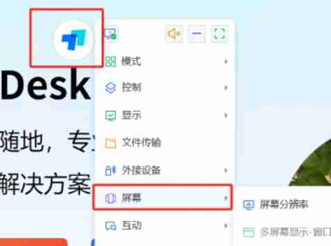 todesk怎么设置隐私屏