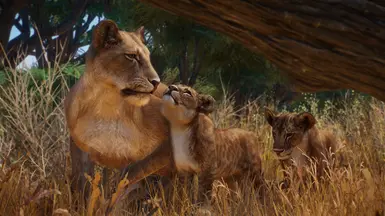 《动物园之星》MOD|马赛狮|下载