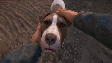 《天国：拯救2》MOD|取我的狗|下载