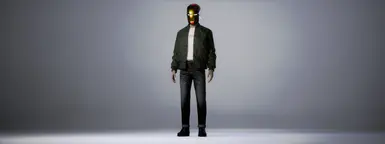 《inZOI》MOD|钢铁侠头盔|下载