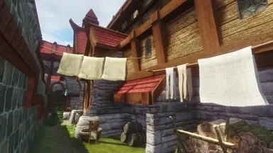 《上古卷轴5：天际重制版》沉浸式洗衣店MOD