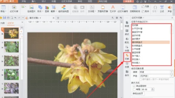 wps office怎么制作电子相册