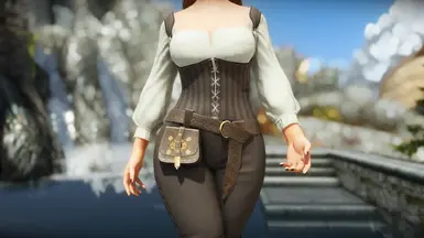 《上古卷轴5：天际重制版》MOD|轻便旅行装|下载