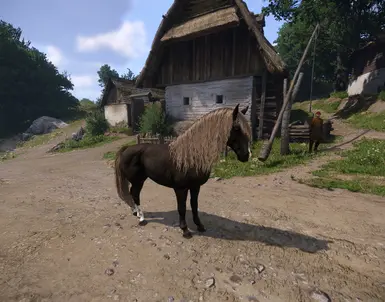 《天国：拯救2》鲱鱼黑马MOD