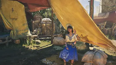 《怪物猎人:荒野》菲丽琪塔替换娜塔MOD