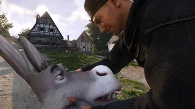 《天国：拯救2》MOD|驴子|下载