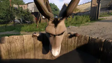 《天国：拯救2》MOD|驴子|下载