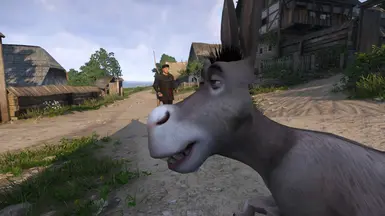 《天国：拯救2》MOD|驴子|下载