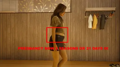 《inZOI》MOD|怀孕时间|下载