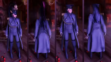 《上古卷轴5:天际重制版》MOD|骑兵军官装|下载