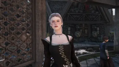 《上古卷轴5：天际重制版》MOD|酒吧老板服装替代品|下载