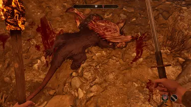 《上古卷轴4:湮灭重制版》MOD|永久血色贴花|下载