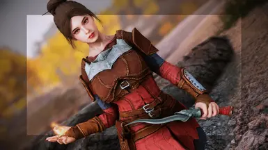 《上古卷轴5：天际重制版》卖剑盔甲MOD