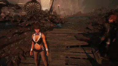 《光与影：33号远征队》MOD|兔女郎希尔|下载