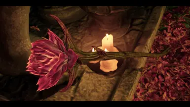 《上古卷轴5：天际重制版》MOD|血玫瑰重做|下载