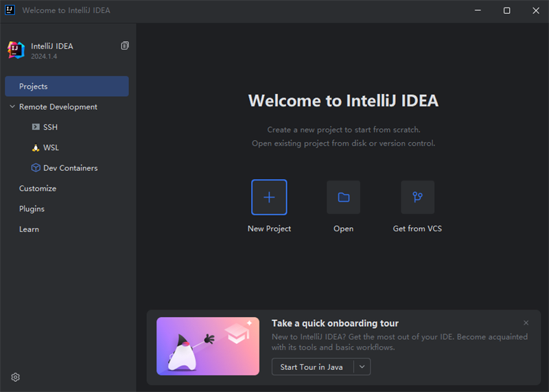 IntelliJ IDEA2025.1