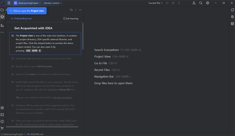 IntelliJ IDEA2025.1