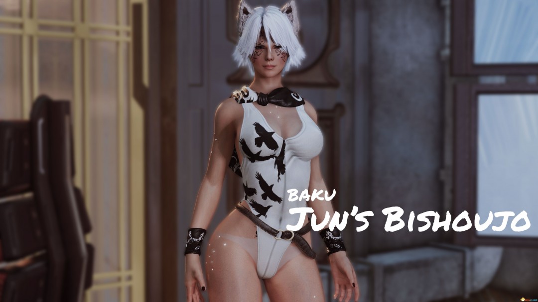 《上古卷轴5：天际重制版》MOD|铁拳风间准美少女套装|下载