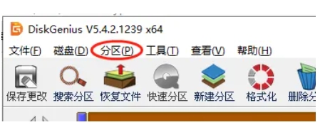 diskgenius怎么格式化磁盘的分区