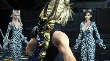 《最终幻想7：重生》猫女套装MOD