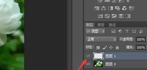Photoshop CS5怎么新建图层