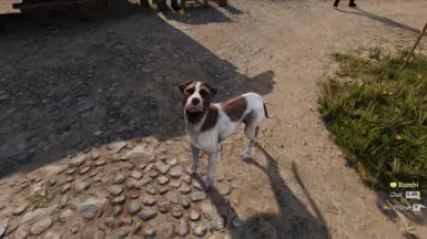 《天国：拯救2》命名您的同伴MOD