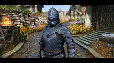 《上古卷轴5：天际重制版》钢铁先锋装甲MOD