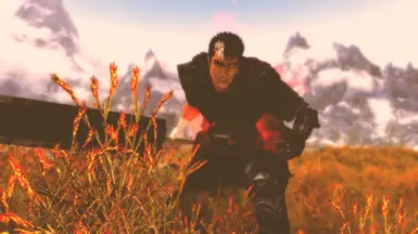 《上古卷轴5：天际重制版》MOD|黑暗之兽|下载