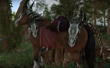 《上古卷轴5：天际重制版》MOD|龙骨马甲|下载