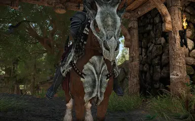 《上古卷轴5：天际重制版》MOD|龙骨马甲|下载