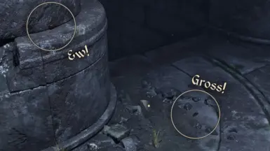 《上古卷轴4:重制版》MOD|不再有蟑螂|下载