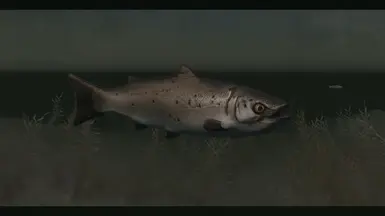 《上古卷轴5：天际重制版》MOD|鲑鱼替代品|下载