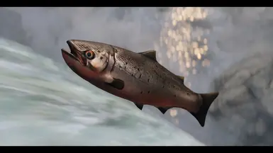 《上古卷轴5：天际重制版》MOD|鲑鱼替代品|下载