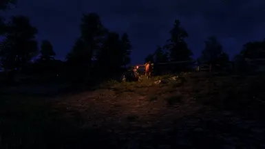 《上古卷轴4：湮灭重制版》更亮的火炬MOD