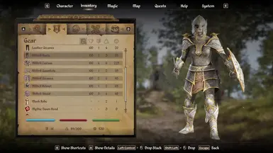 《上古卷轴4：湮灭重制版》绿色镶边秘银MOD