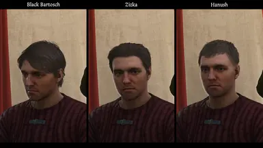 《天国：拯救2》MOD|更多理发师选择|下载