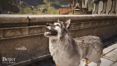 《上古卷轴4：湮灭重制版》更好的狗脸MOD