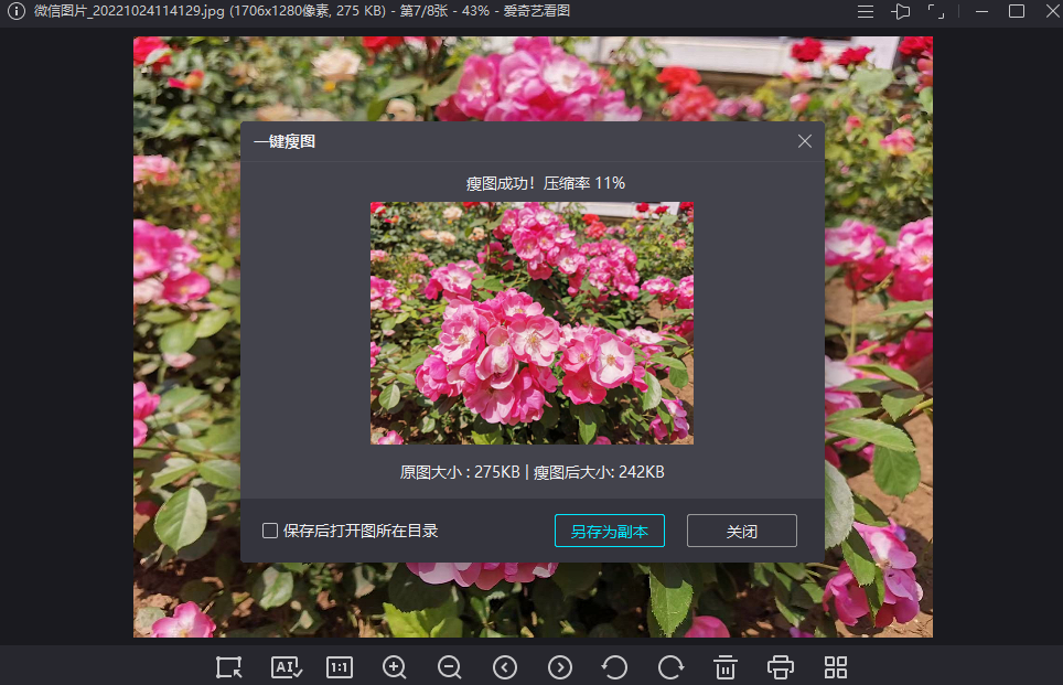 爱奇艺看图电脑版