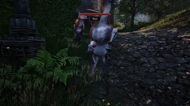 《上古卷轴4：湮灭重制版》MOD|鹿的复仇|下载