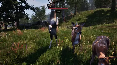 《上古卷轴4：湮灭重制版》MOD|鹿的复仇|下载