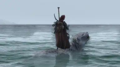 《上古卷轴5：天际重制版》游泳坐骑动画修复MOD
