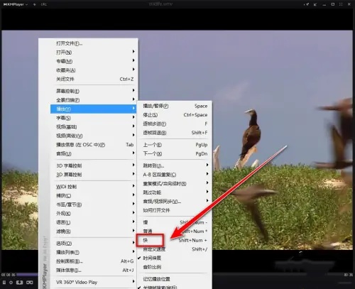 KMPlayer如何加快播放速度