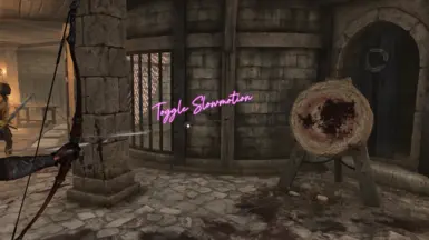 《上古卷轴4:湮灭重制版》MOD|切换慢动作|下载