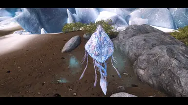 《上古卷轴5：天际重制版》特别的海妖MOD