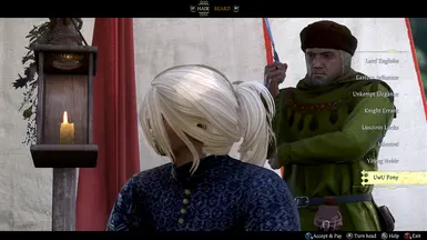 《天国:拯救2》MOD|亨利马尾辫|下载