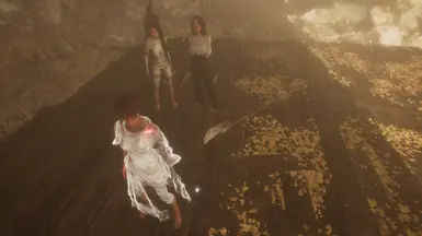 《光与影：33号远征队》MOD|熙艾尔外观调整|下载